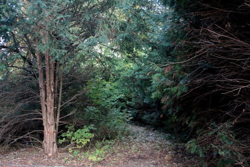 park-wstydu-77586