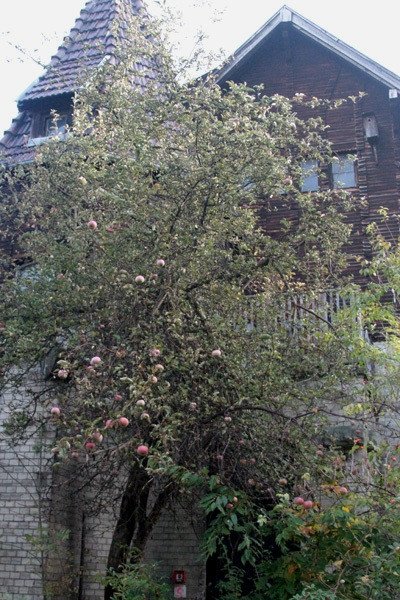 park-wstydu-77586