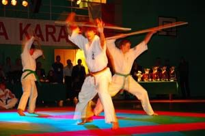 puchar-polski-w-karate-relacja-i-foto-776