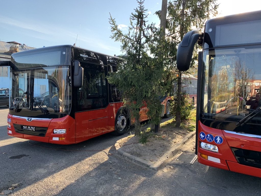 sa-dwa-przegubowce-77702