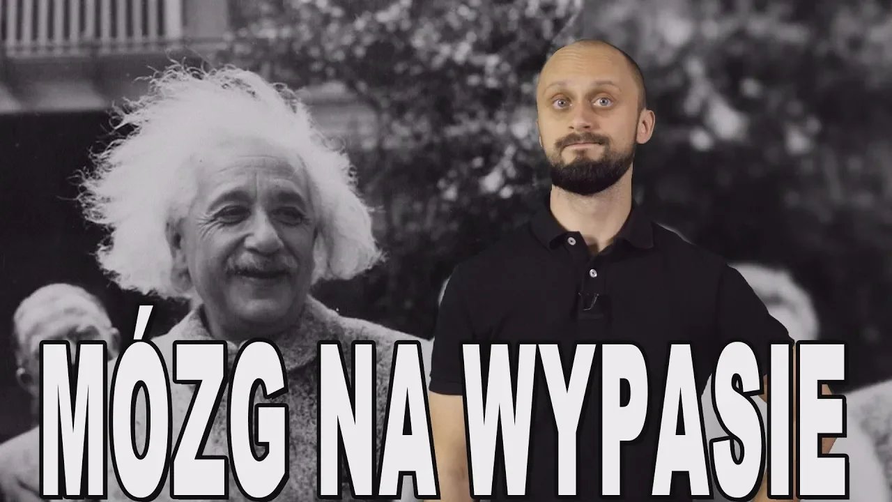 mozg-na-wypasie-albert-einstein-77762