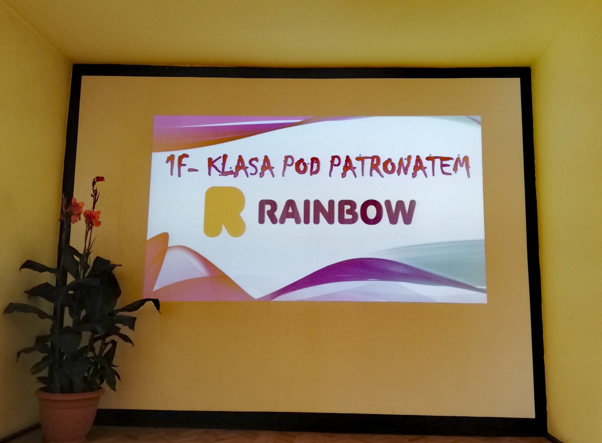 klasa-patronacka-rainbow-w-ekonomie-77785