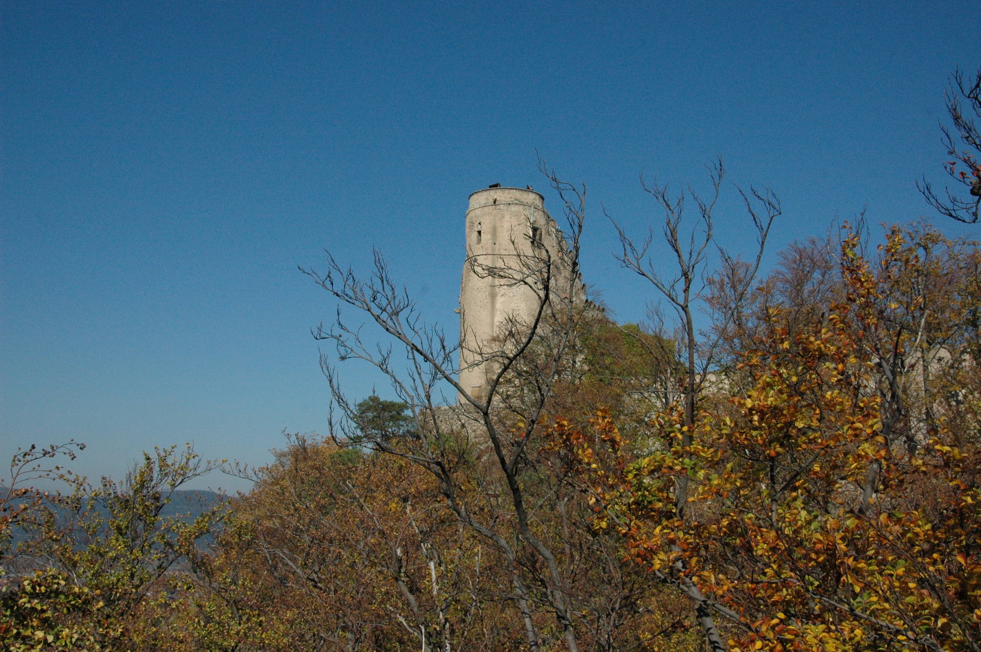 fotospacer-uczniow-po-perach-regionu-77814