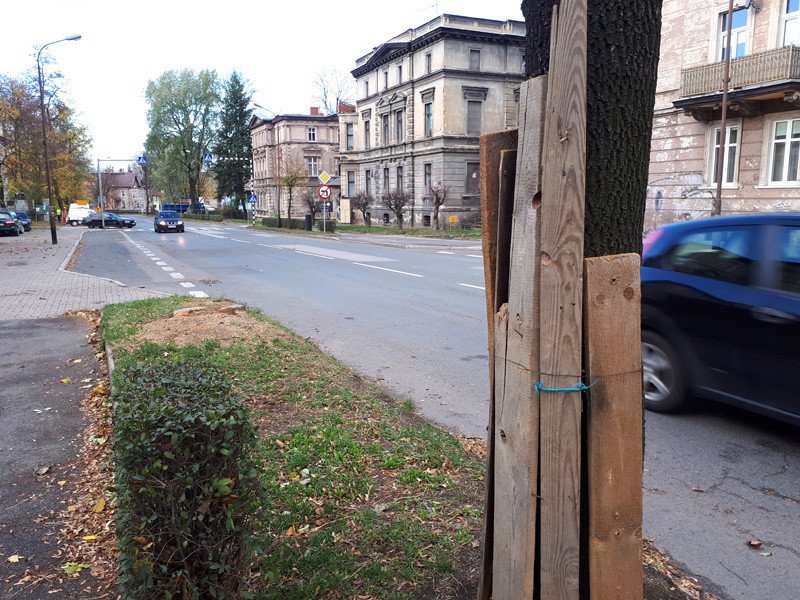 deski-dla-ochrony-77934