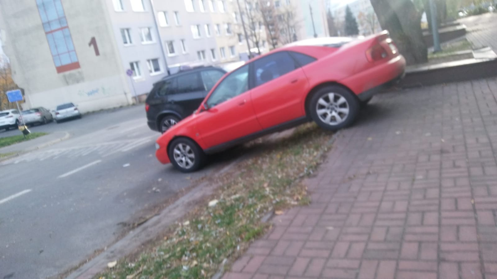 mistrz-parkowania-77999