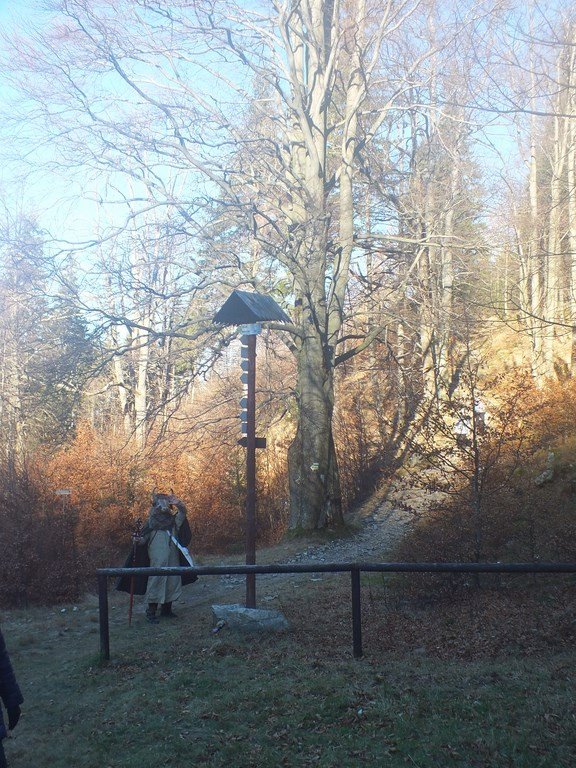 zegnali-sonce-w-budnikach-na-113-dni-78246