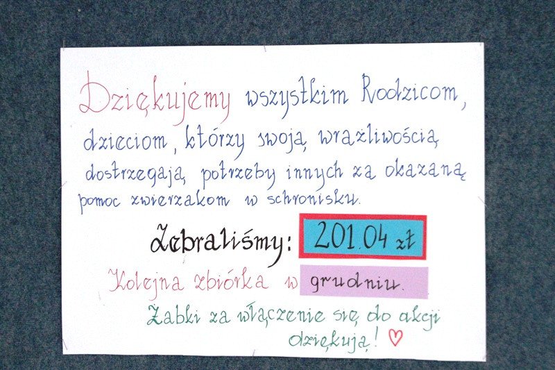 trzynastka-na-medal-78333