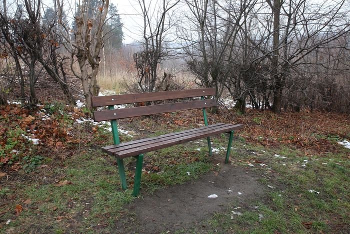 rada-seniorow-dziaa-78337