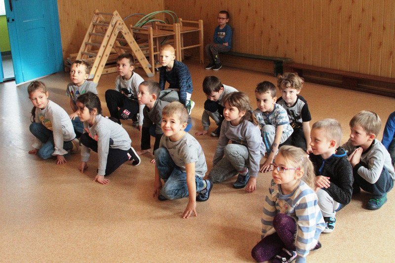 kolorowa-bajka-78463