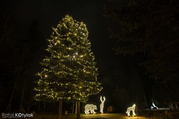 nowe-iluminacje-swiateczne-karpacza-78482