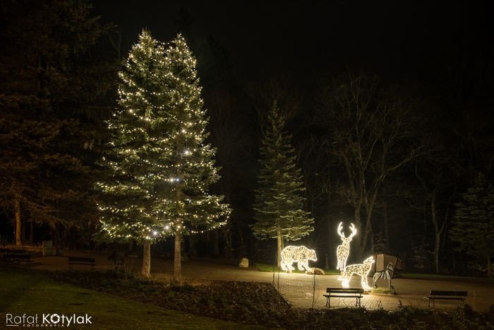 nowe-iluminacje-swiateczne-karpacza-78482