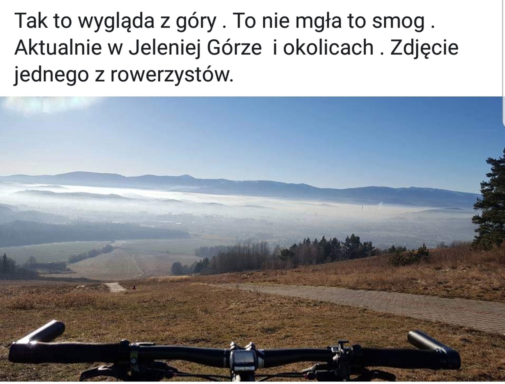 oni-walcza-o-czyste-powietrze-78521