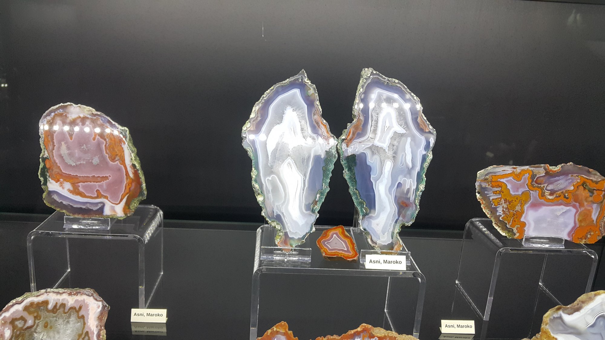 muzeum-ziemi-juna-ponownie-otwarte-78548