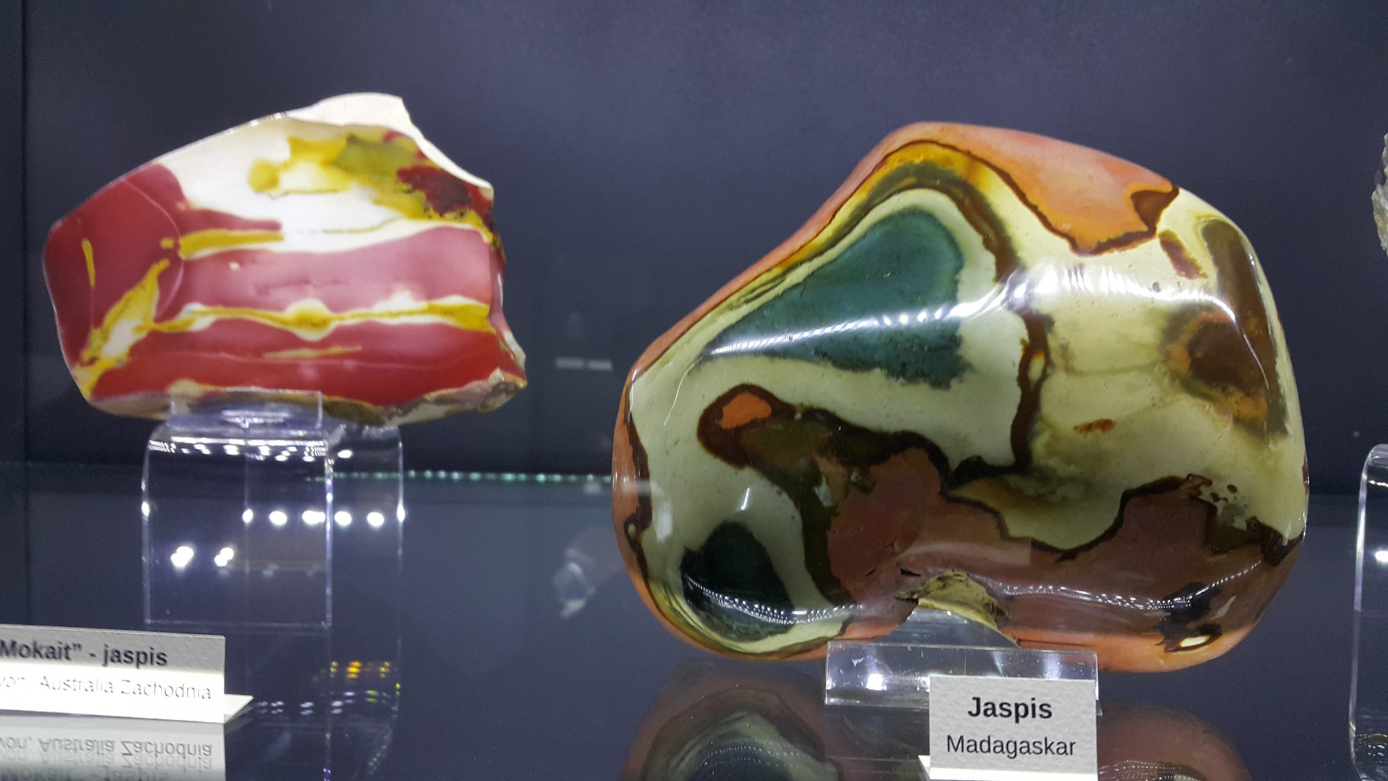 muzeum-ziemi-juna-ponownie-otwarte-78548
