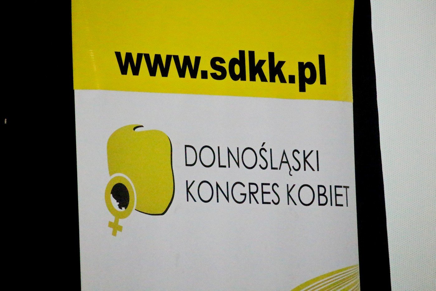 na-100lecie-swieto-kobiet-w-kinie-lot-78632