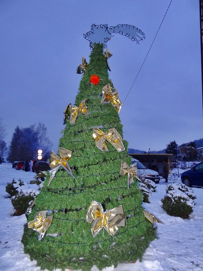 goduszyn-tez-ma-choinke-78760