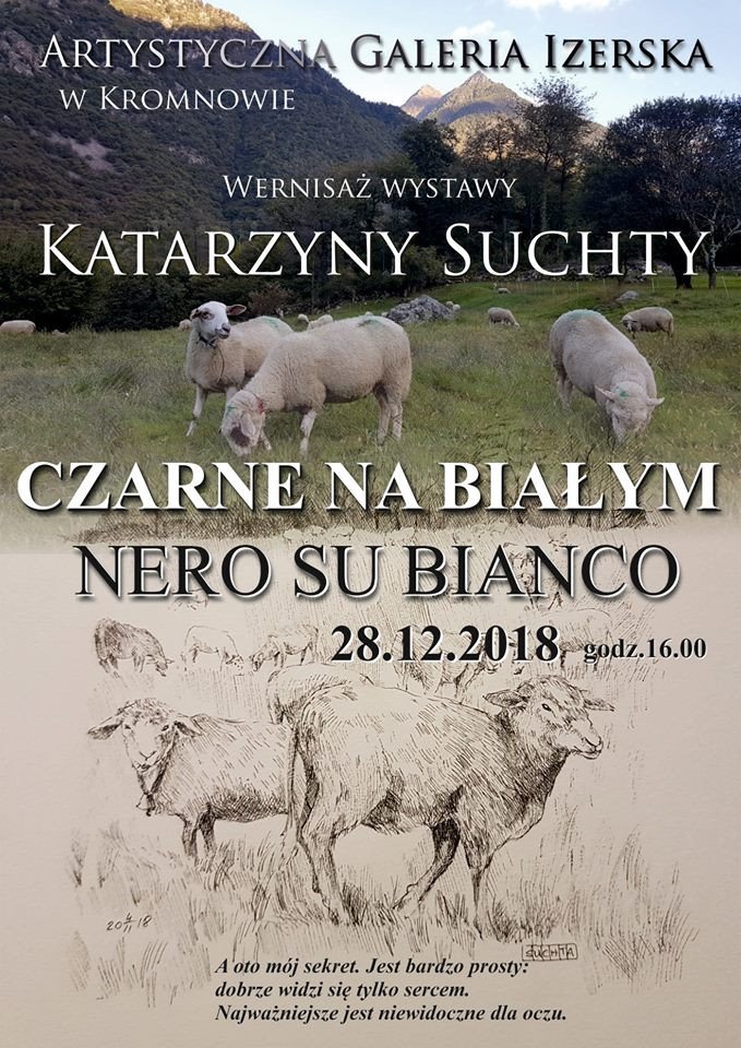 wernisaz-wystawy-katarzyny-suchty-78897