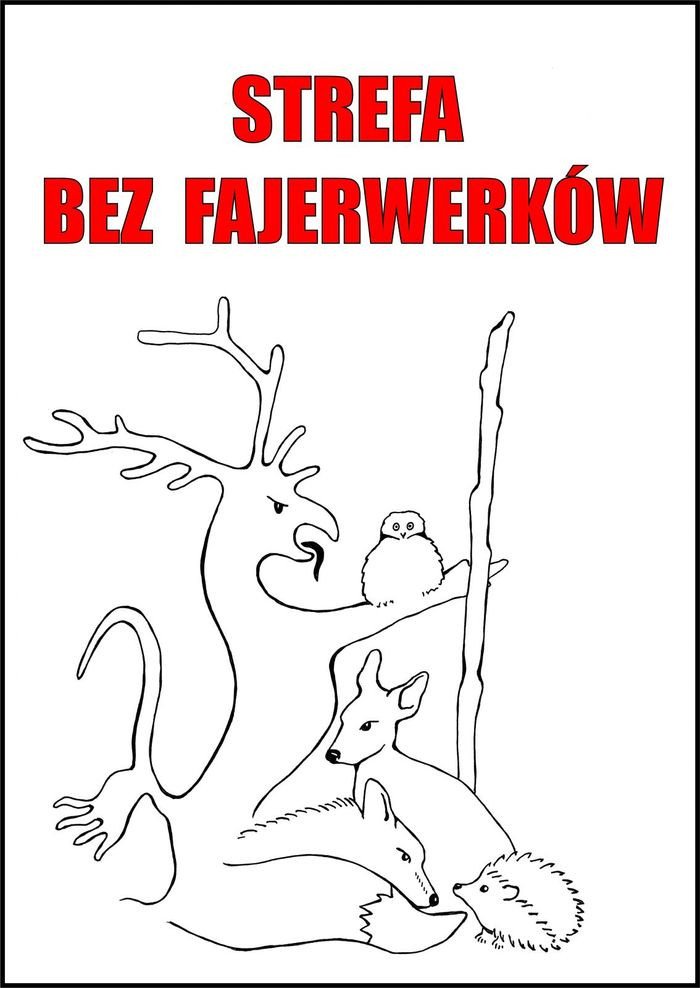 kpn-bez-fajerwerkow-78911