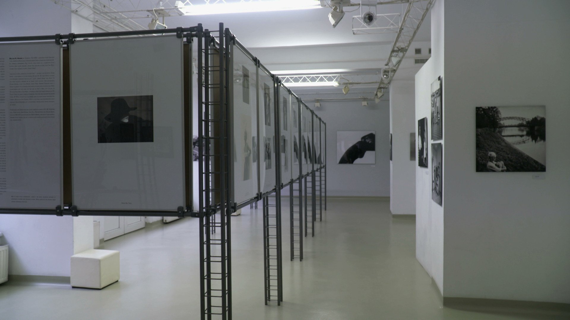 szukajac-marilyn-78931