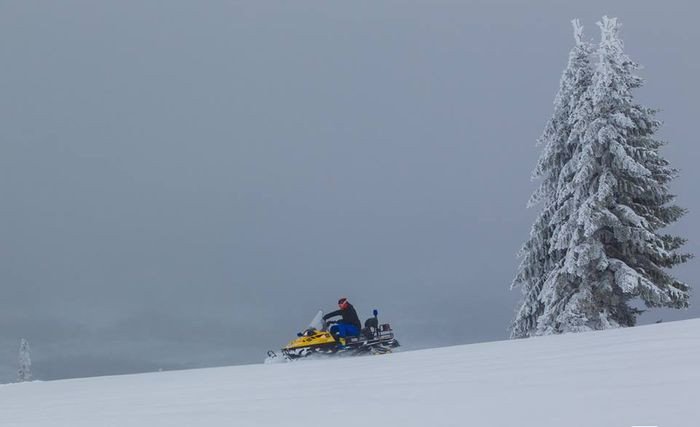 bokser-utkna-w-gorach-79045