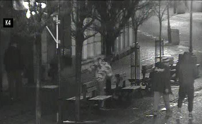wandale-ujeci-dzieki-monitoringowi-79048