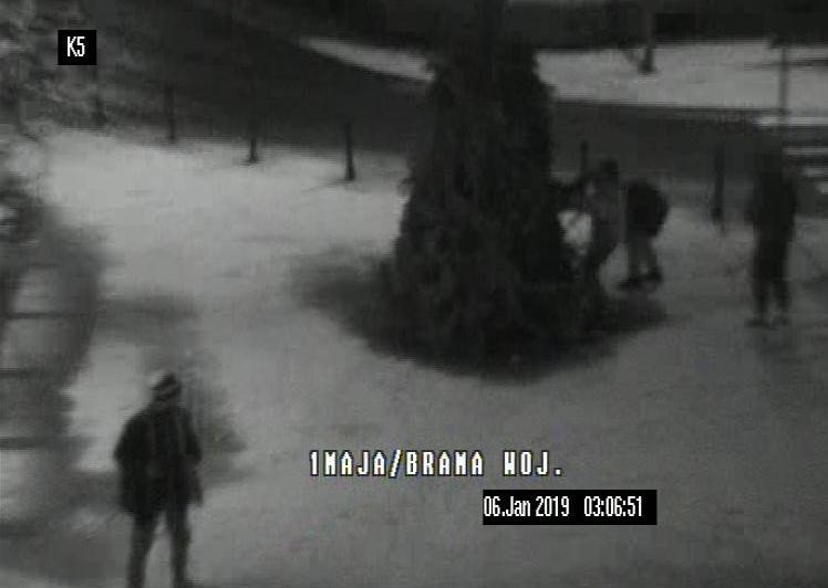 wandale-ujeci-dzieki-monitoringowi-79048