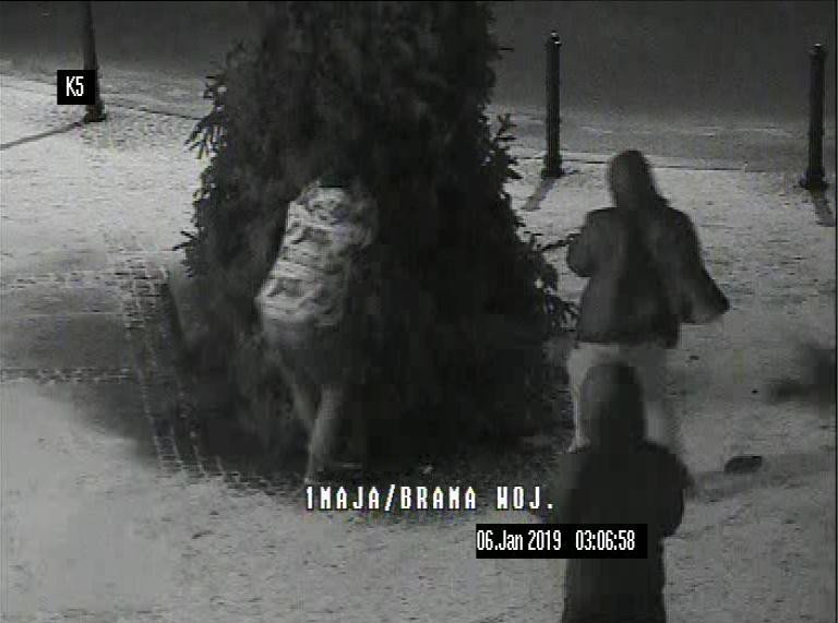 wandale-ujeci-dzieki-monitoringowi-79048
