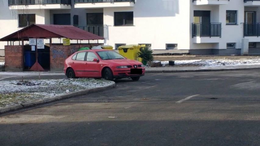 mistrz-zakretow-79280
