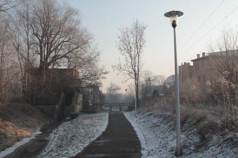 ciemno-na-trasie-do-grzybka-79327