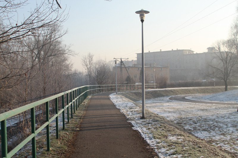 ciemno-na-trasie-do-grzybka-79327
