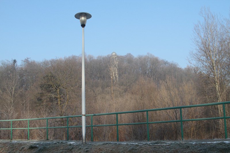 ciemno-na-trasie-do-grzybka-79327