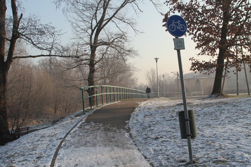 ciemno-na-trasie-do-grzybka-79327