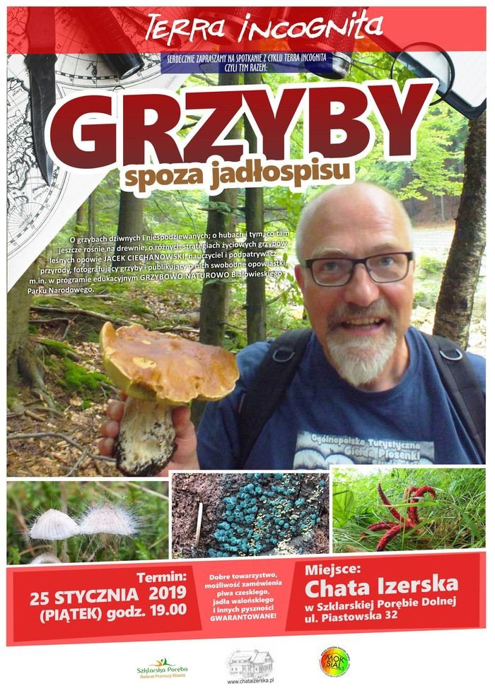 terra-incognita-o-grzybach-79337