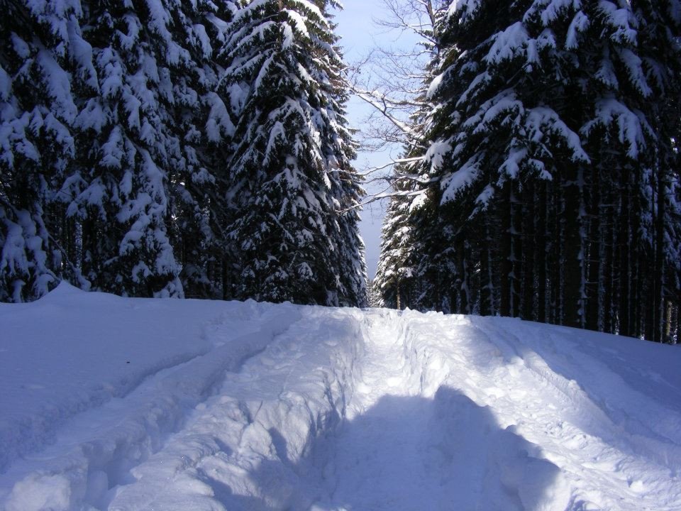 ocalic-jagniatkow-od-zapomnienia-79351