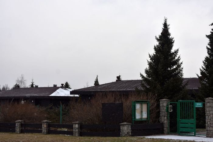 lesny-bank-genow-kostrzyca-pomaga-puszczy-biaowieskiej-79371