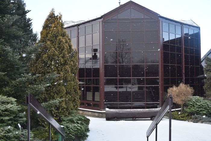 lesny-bank-genow-kostrzyca-pomaga-puszczy-biaowieskiej-79371