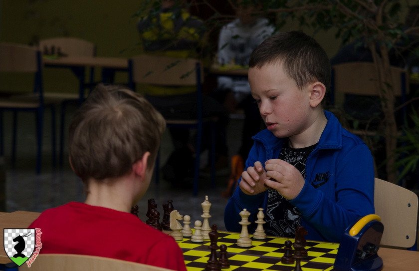 zacieta-walka-na-szachownicach-79437