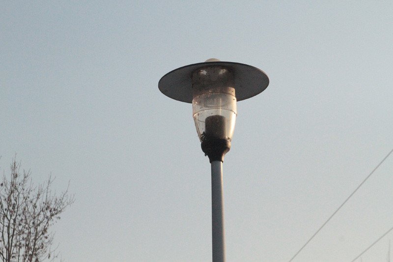 ciemno-do-grzybka-79644
