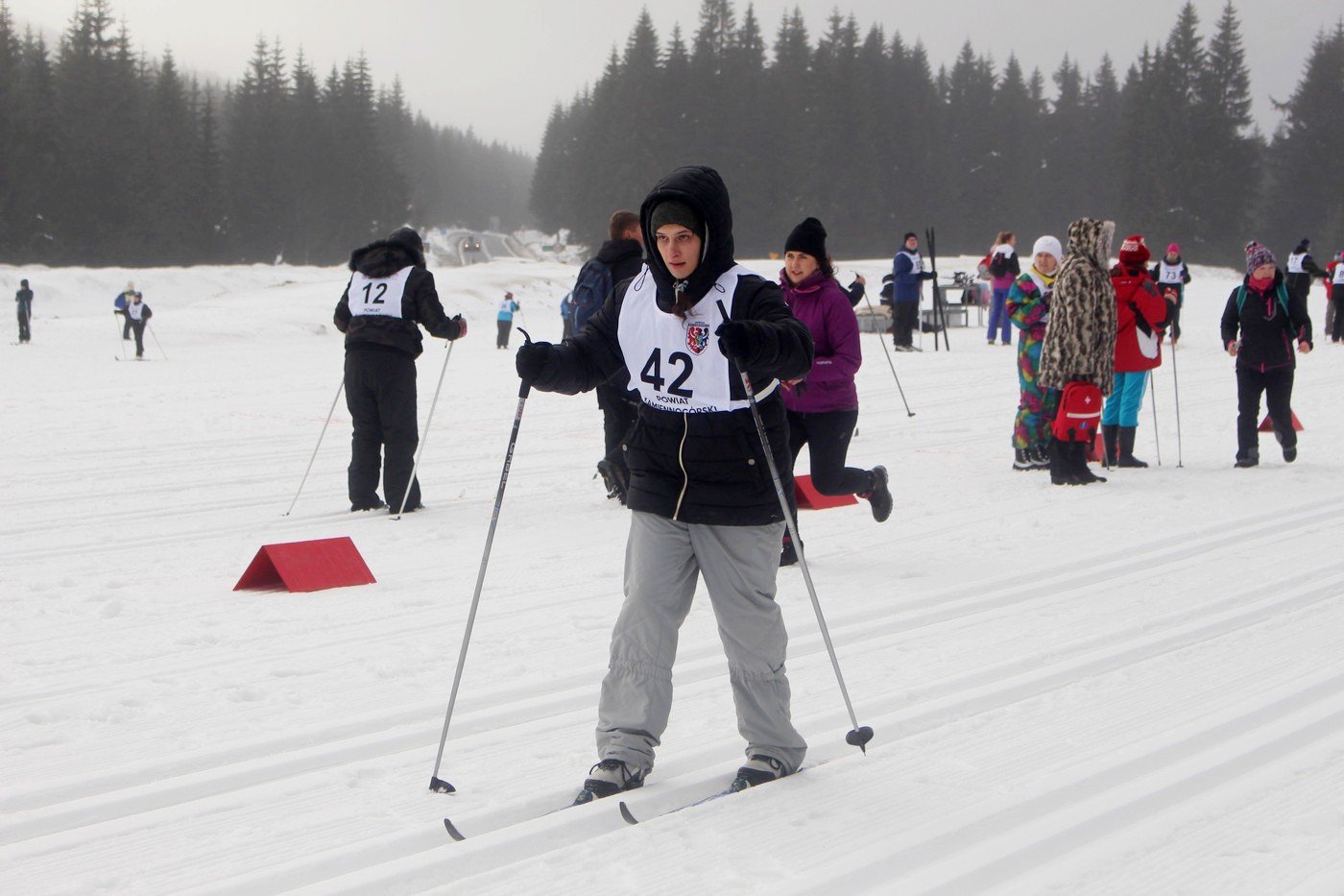 dolnoslaski-mityng-olimpiad-specjalnych-79737