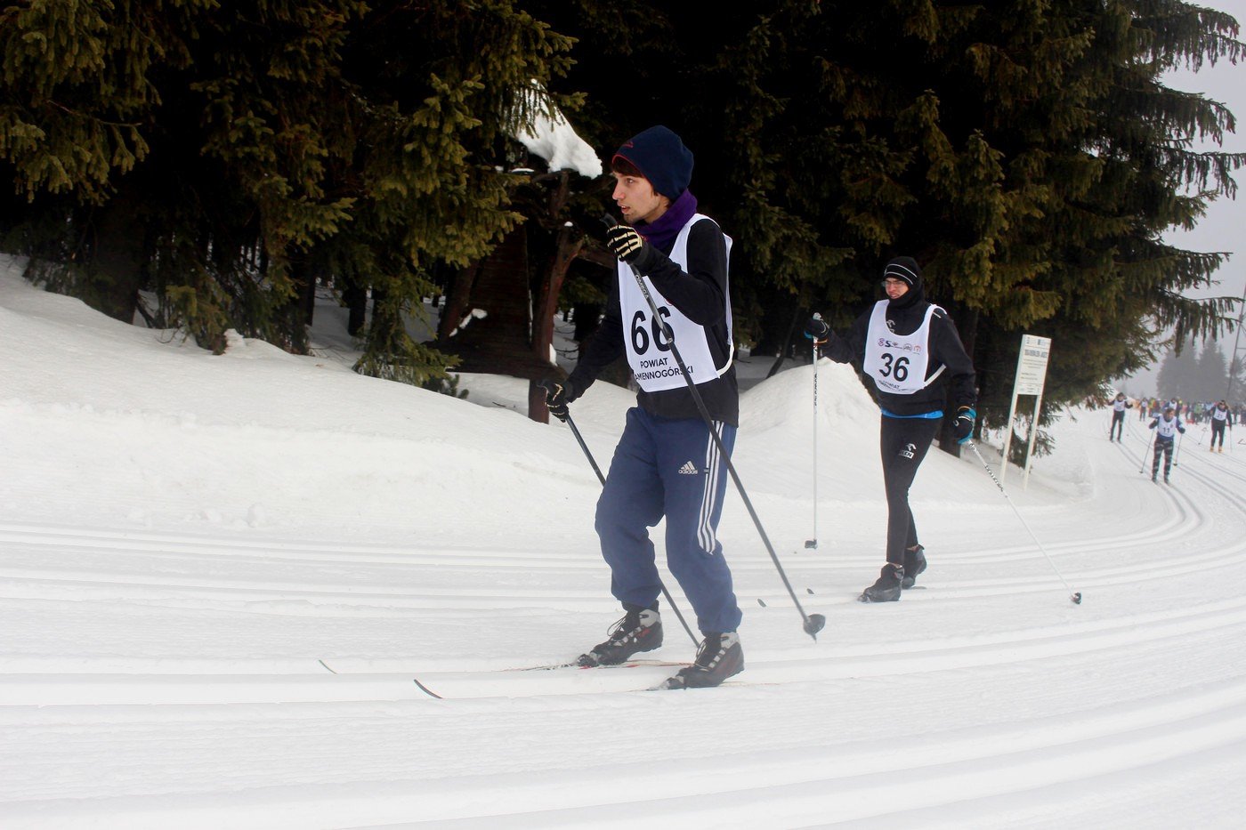 dolnoslaski-mityng-olimpiad-specjalnych-79737