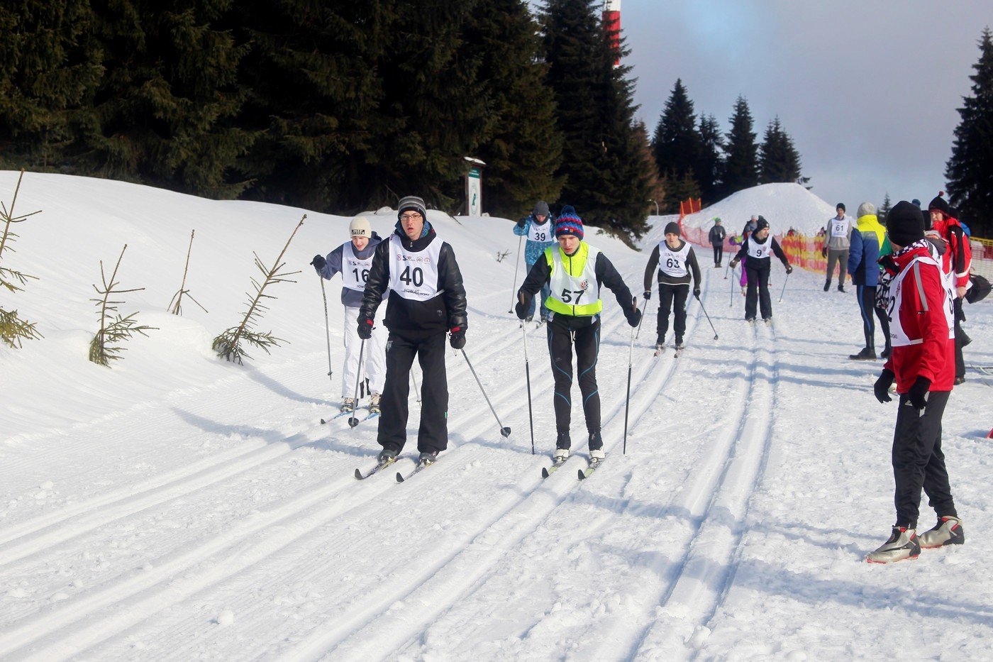 dolnoslaski-mityng-olimpiad-specjalnych-79737