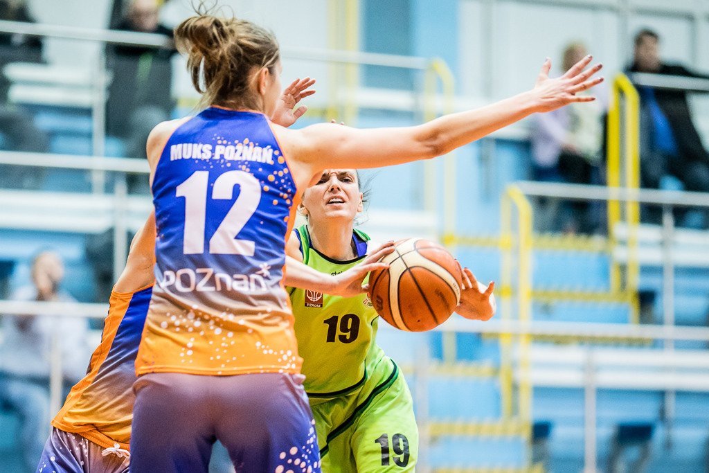 muks-poznan-na-luzie-79821