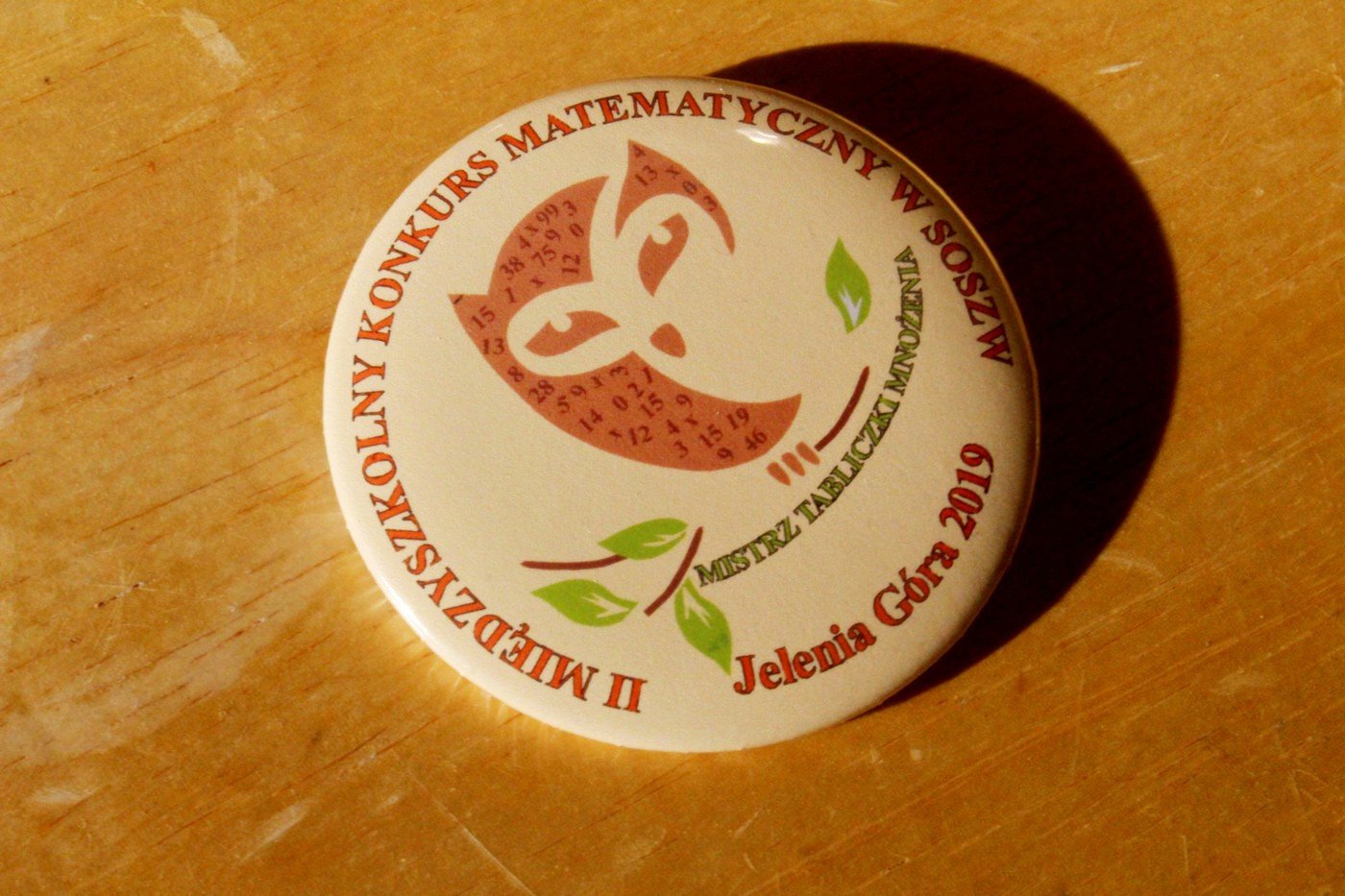 swietna-zabawa-edukacyjna-w-sosw-79918