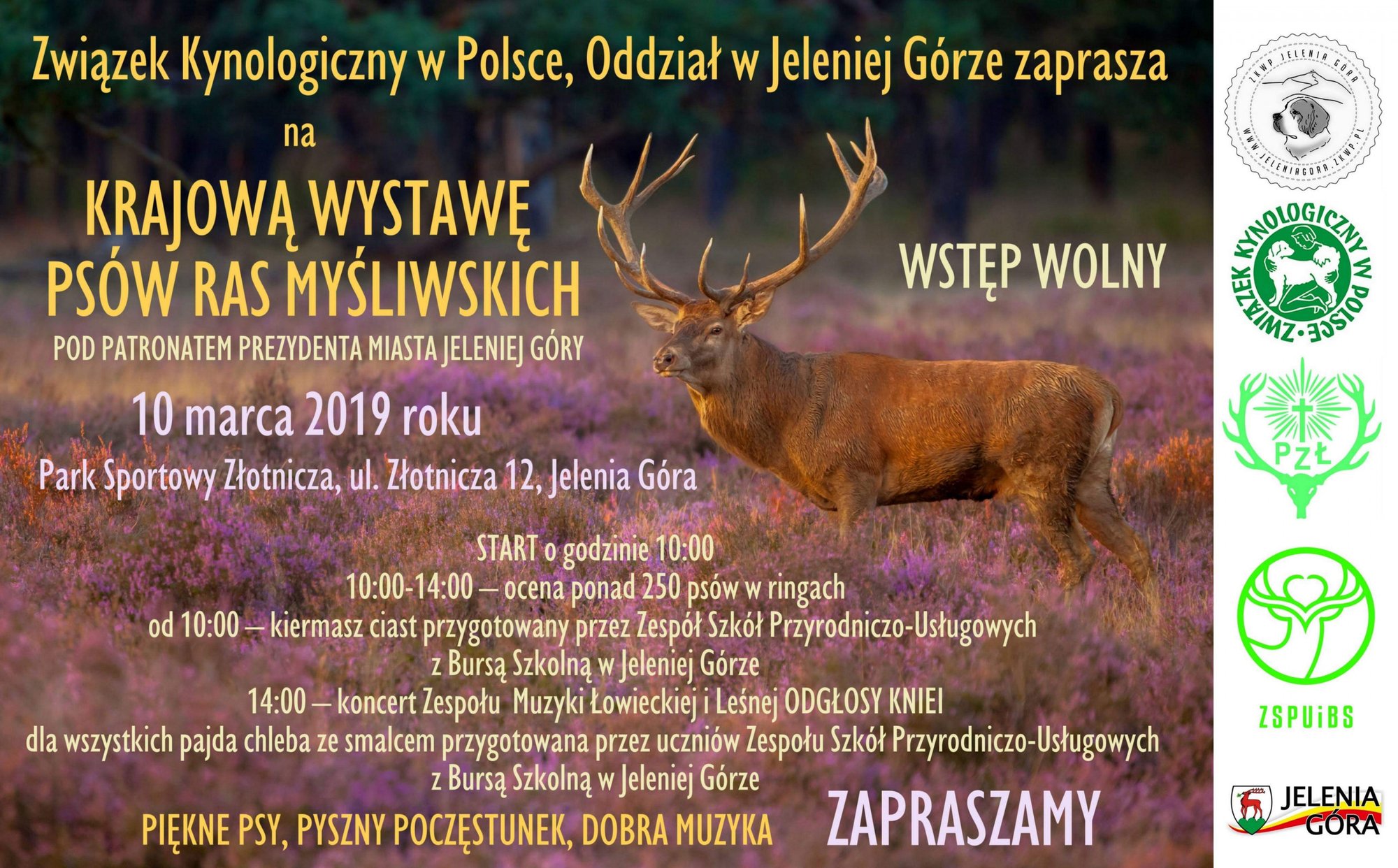wystawa-psow-mysliwskich-w-niedziele-80122