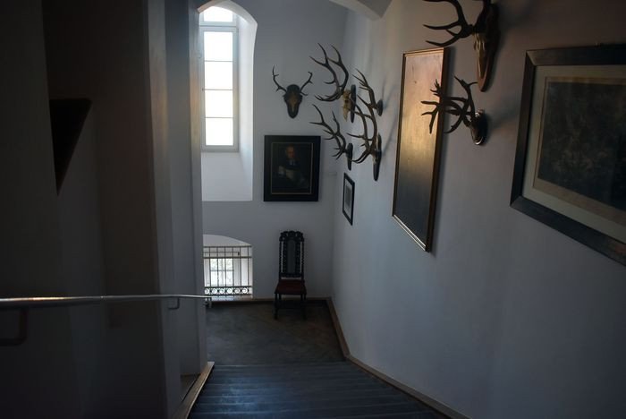 muzeum-w-paacu-otwarte-80281