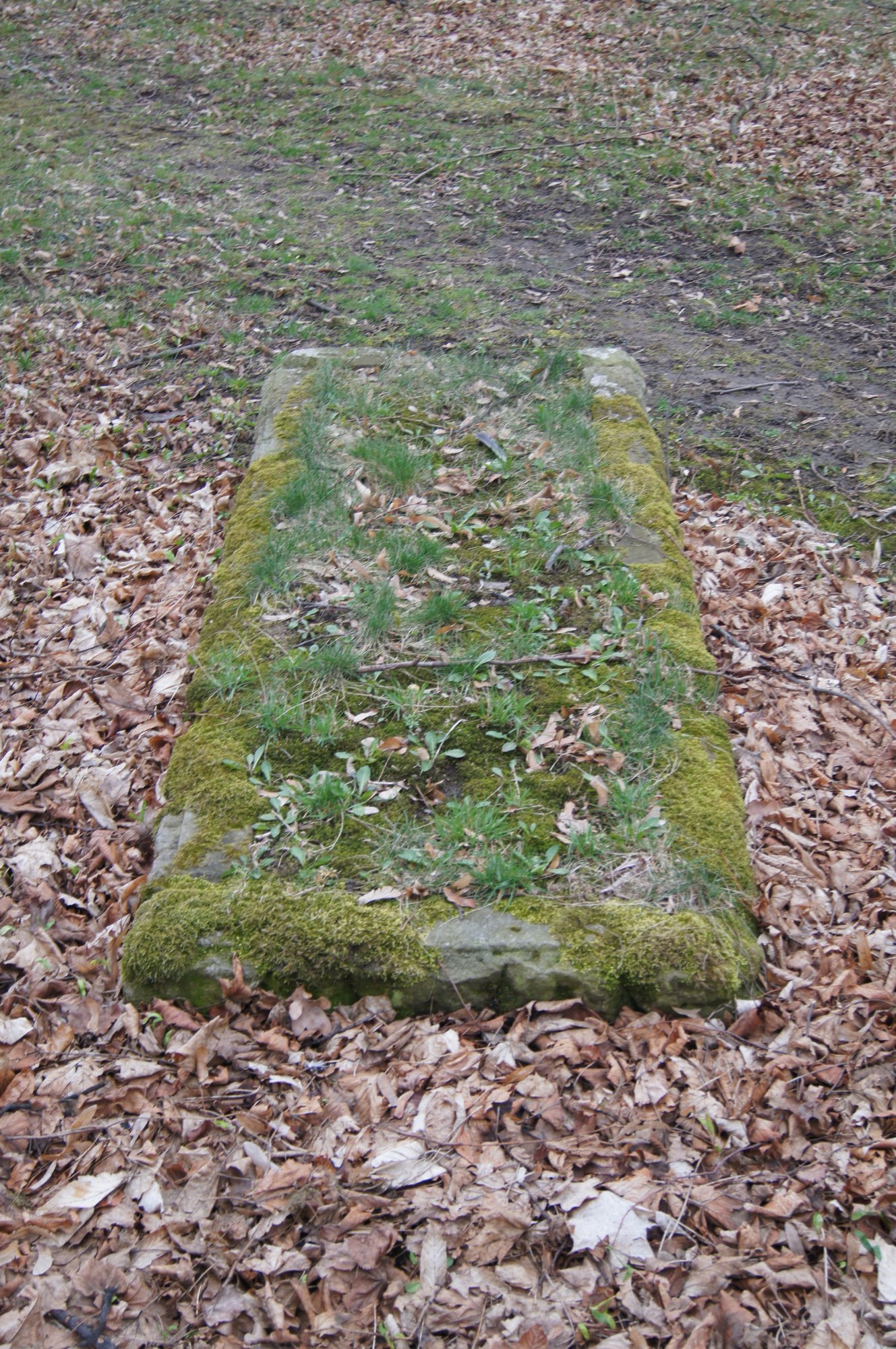 Podstawa macewy