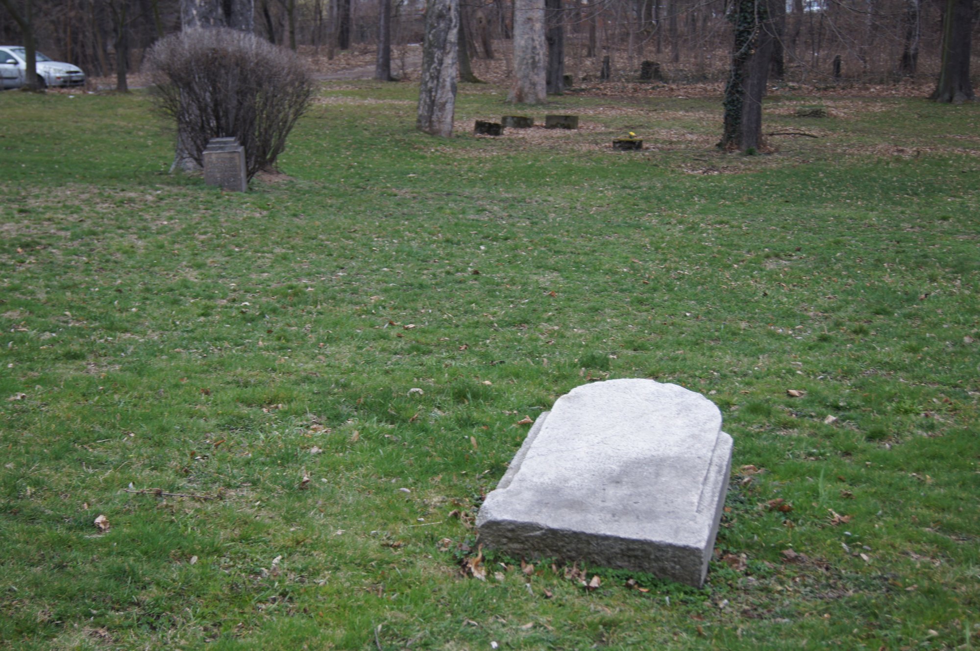Przewrócona macewa