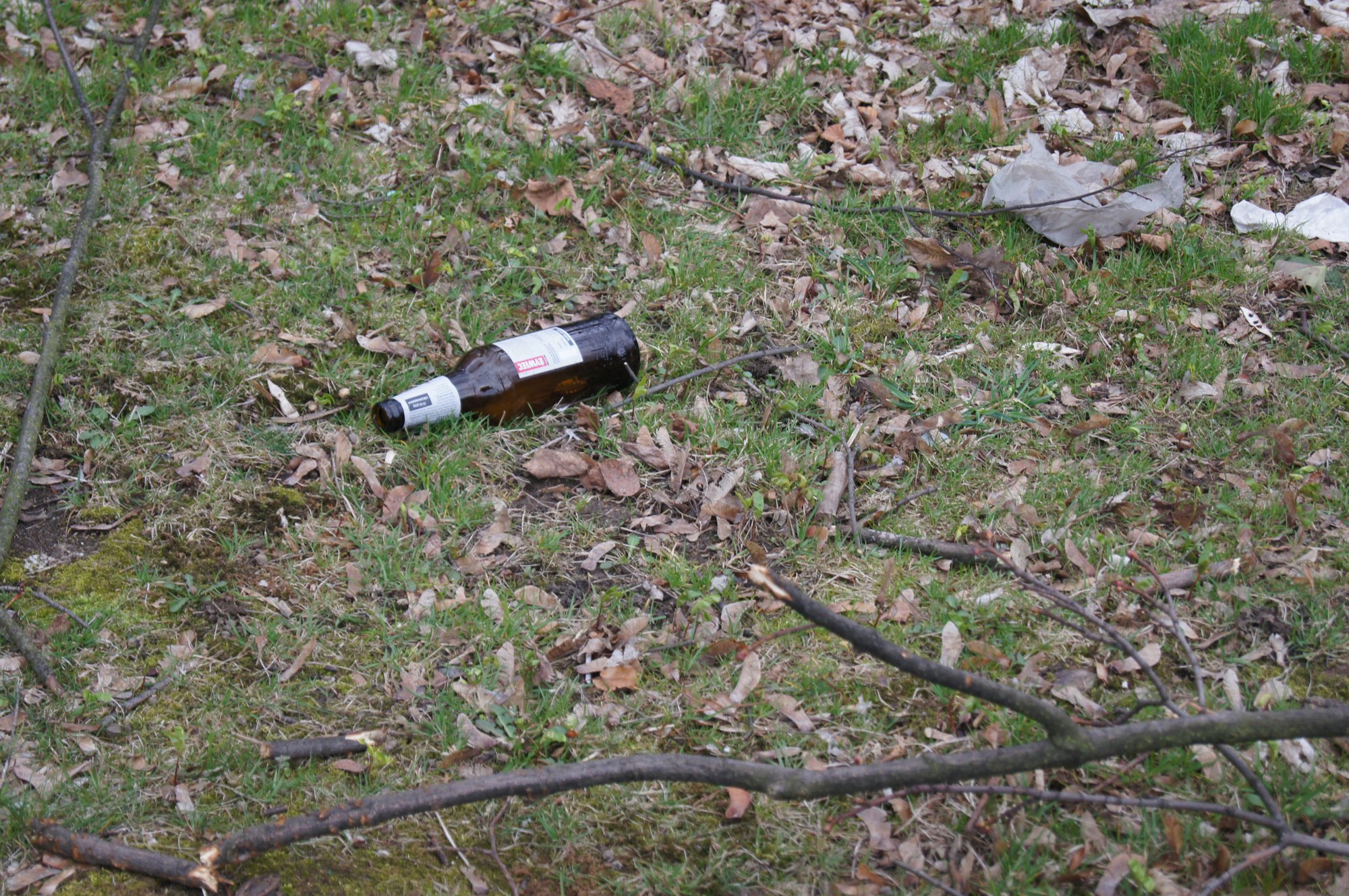 Śmieci na cmentarzu