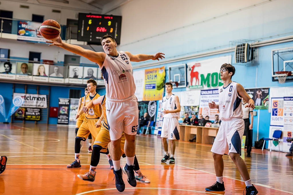 setka-dabrowy-gorniczej-80692