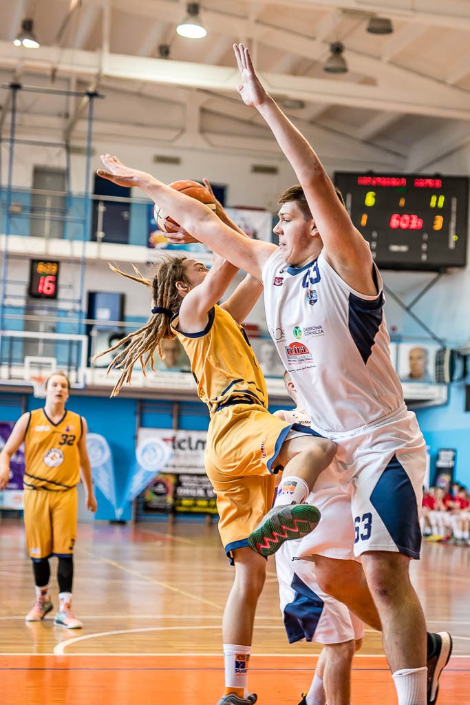 setka-dabrowy-gorniczej-80692